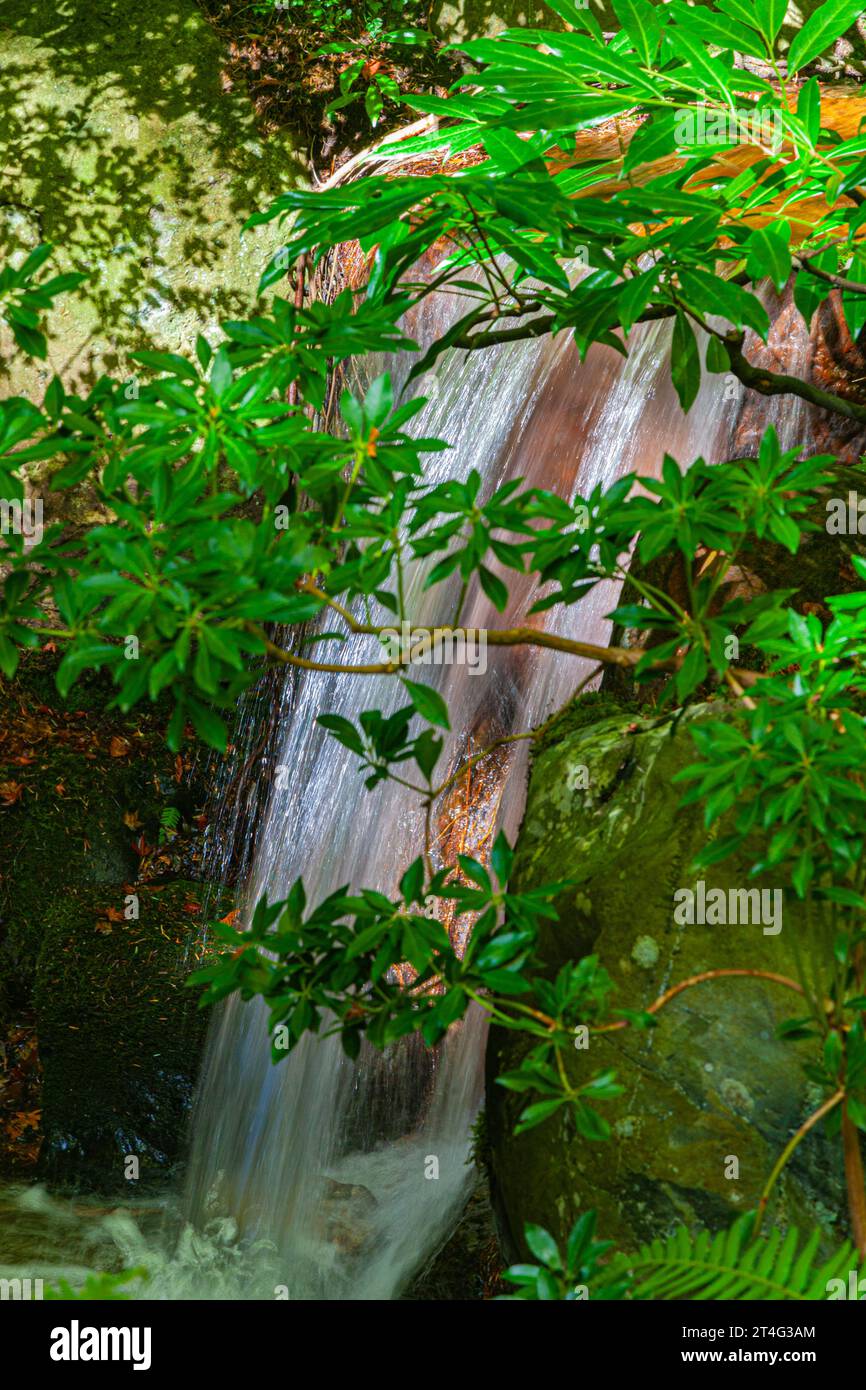 Petite cascade dans le jardin japonais Nitobe à UBC Vancouver Canada Banque D'Images