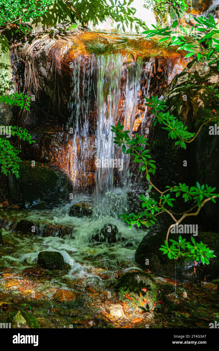 Petite cascade dans le jardin japonais Nitobe à UBC Vancouver Canada Banque D'Images