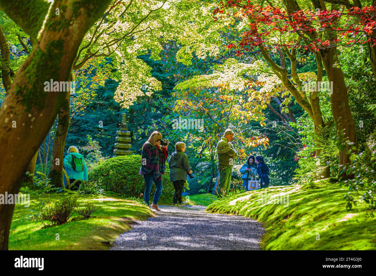 Les gens apprécient le calme des jardins japonais Nitobe à UBC Vancouver Canada Banque D'Images