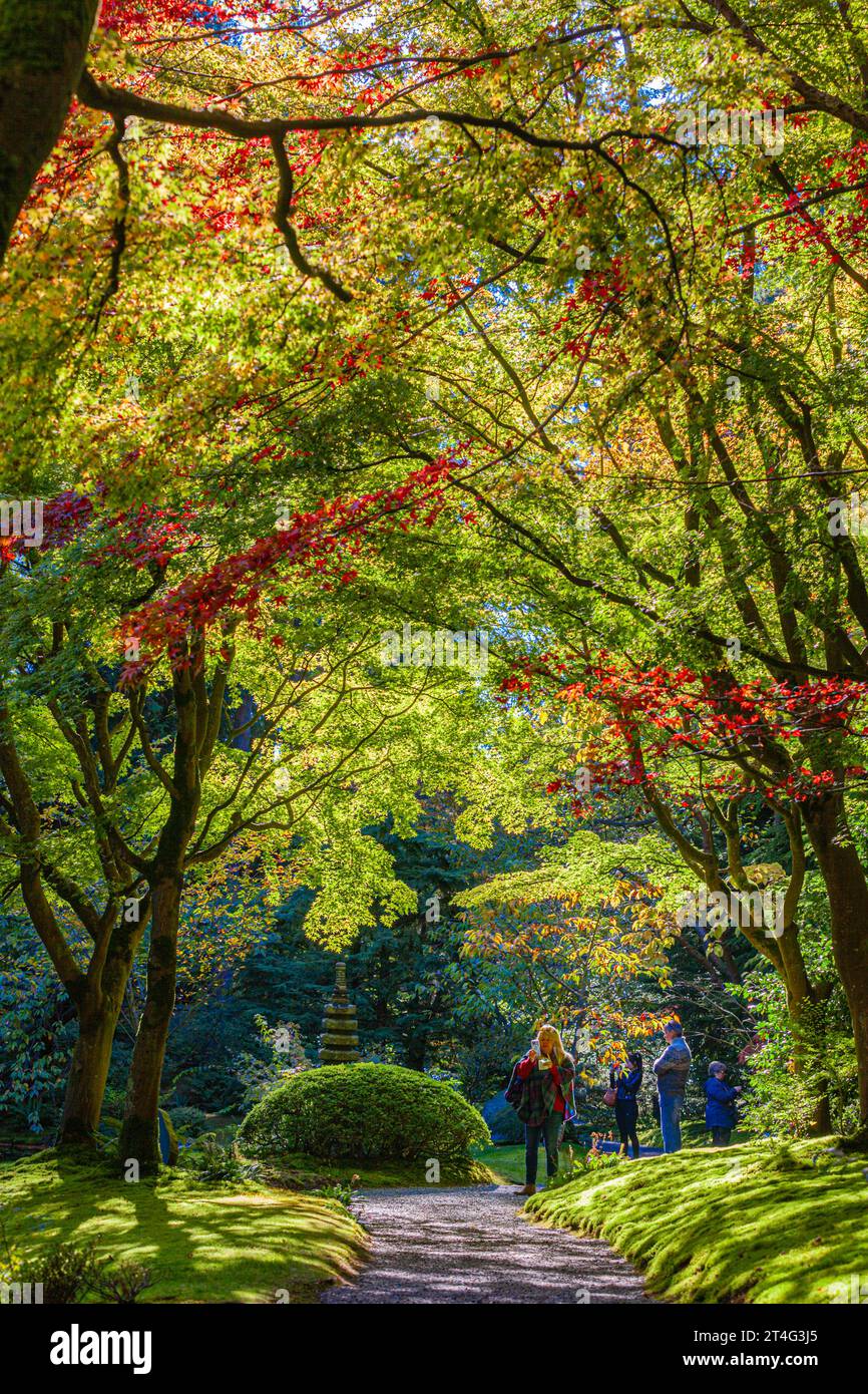 Les gens apprécient le calme des jardins japonais Nitobe à UBC Vancouver Canada Banque D'Images