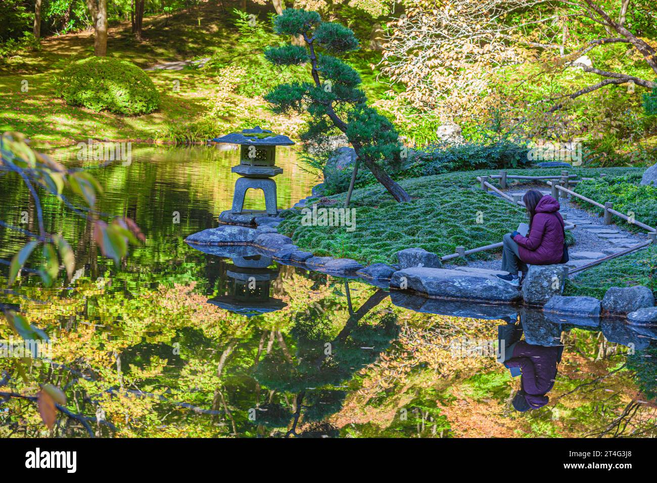Femme dessinant dans le jardin japonais Nitobe à UBC à Vancouver Canada Banque D'Images
