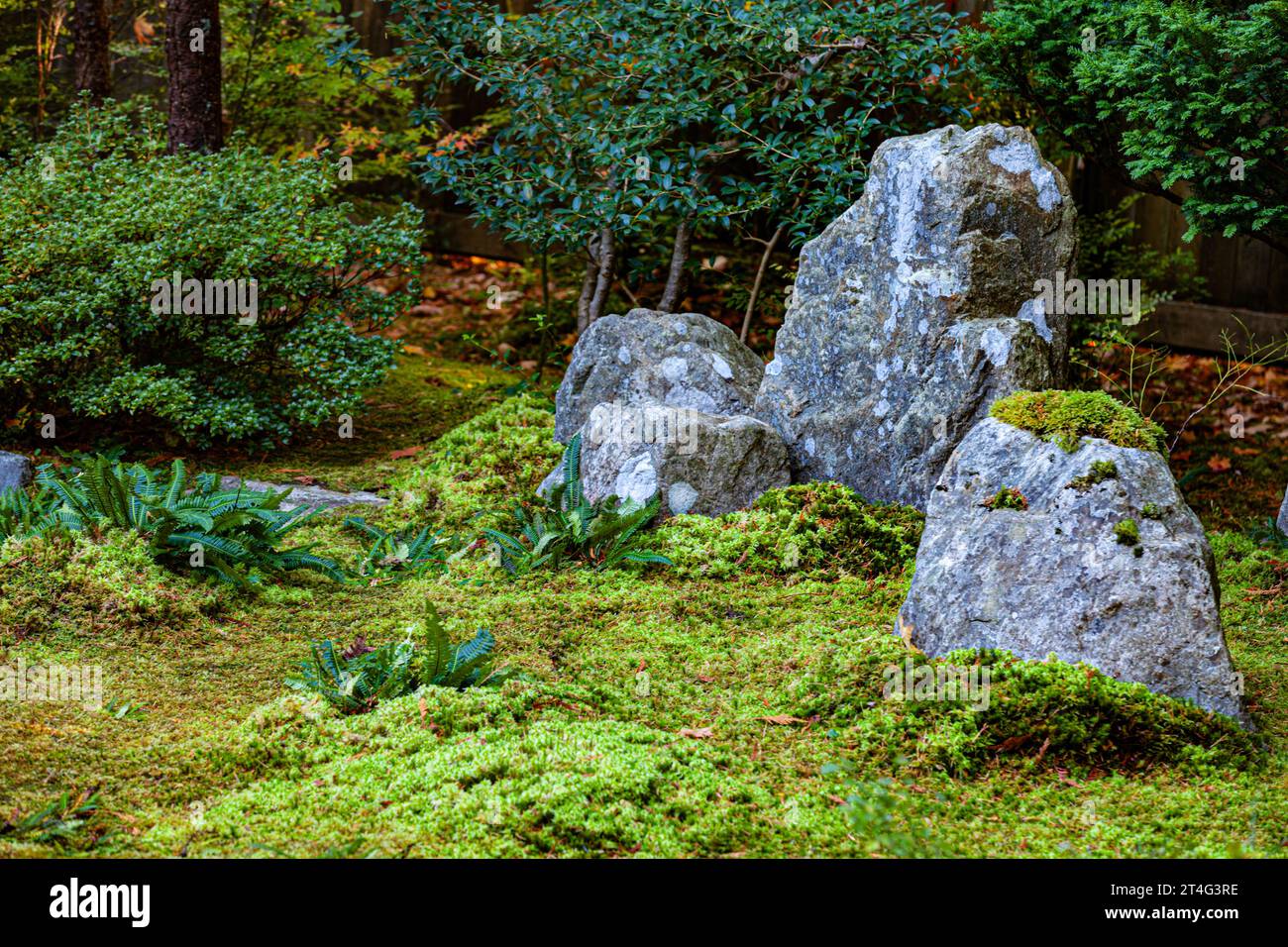 Arrangement de pierres et de mousse dans le jardin japonais Nitobe à UBC à Vancouver Canada Banque D'Images