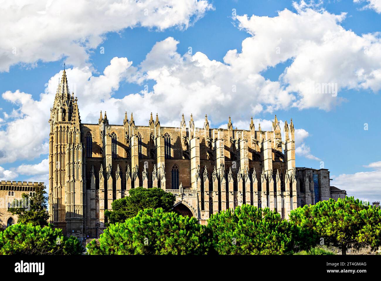 Cathédrale gothique-Basilique de Santa María à Palma de Majorque ou Cathédrale de Majorque (la Seu) Banque D'Images