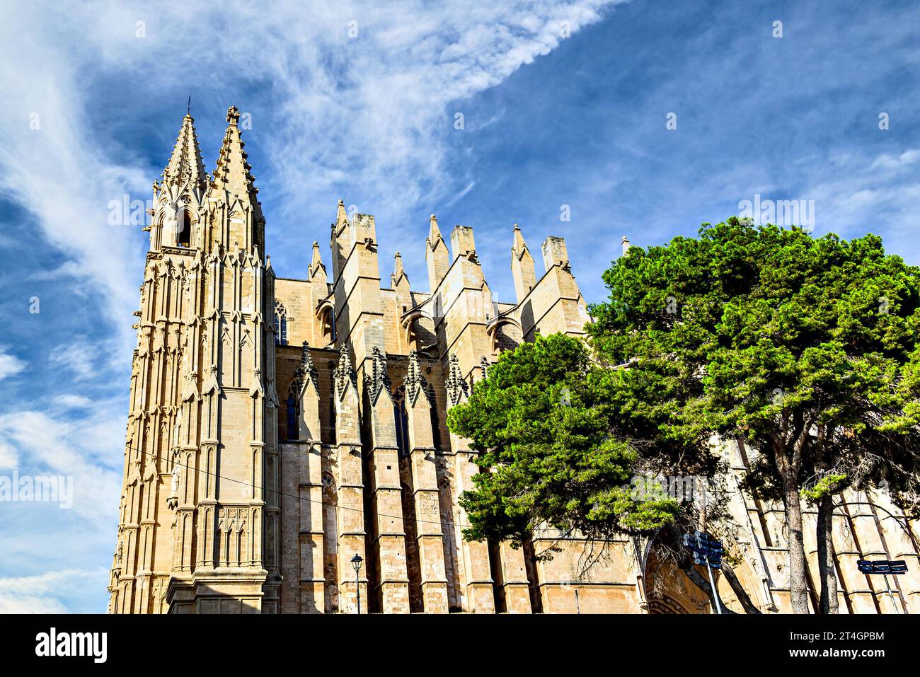 Cathédrale gothique-Basilique de Santa María à Palma de Majorque ou Cathédrale de Majorque (la Seu) Banque D'Images