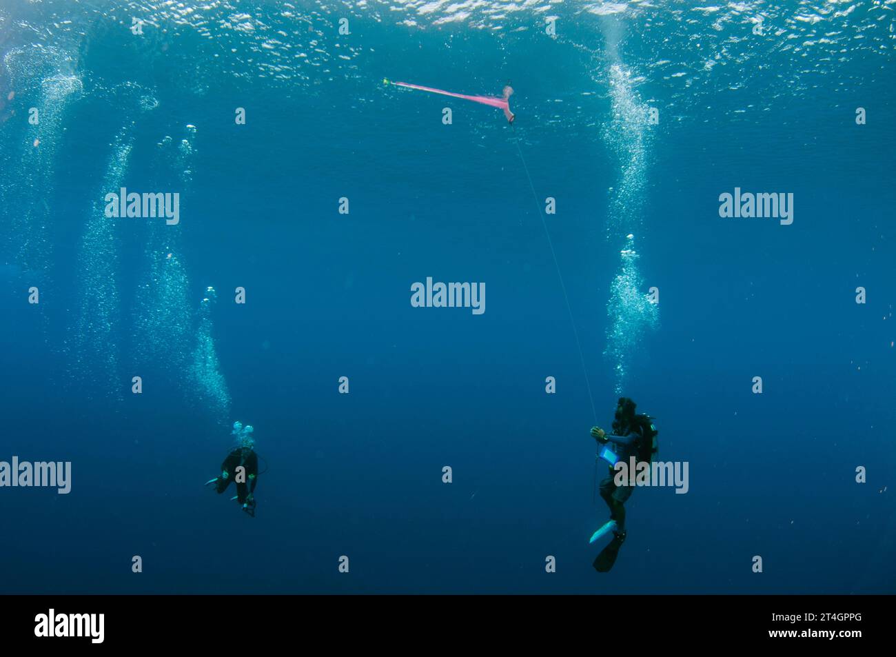 Plongeurs avec bouée de marqueur de surface déployée, site de plongée de l'île Suanggi, îles Banda, Indonésie, mer de Banda Banque D'Images
