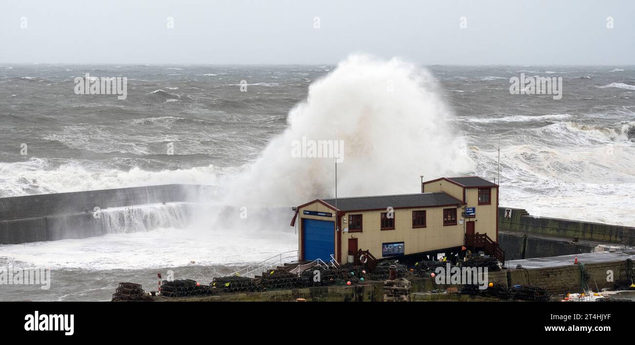 St Abbs Harbour, St Abbs, Berwickshire, Écosse, Royaume-Uni - photographie prise pendant la tempête Babet le 20 octobre 2023 Banque D'Images
