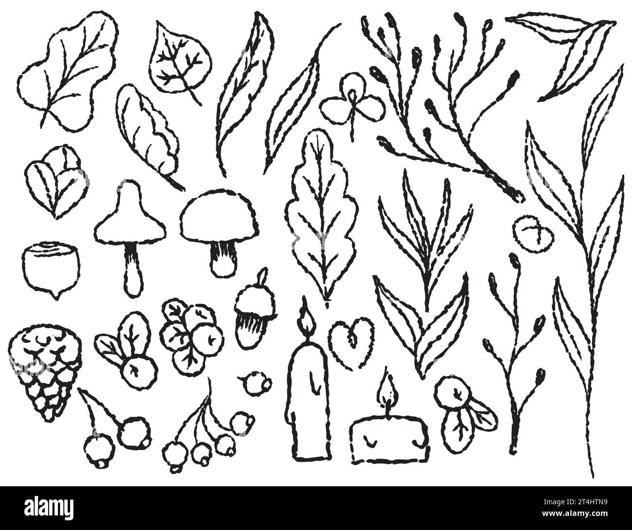 Automne Set doodle d'éléments d'automne sur un fond transparent, ligne dessinée avec un pinceau, pour l'emballage et le design textile. Feuilles, champignons, berri Illustration de Vecteur