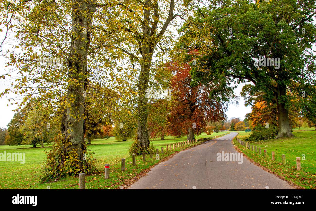 Dundee, Tayside, Écosse, Royaume-Uni. 31 octobre 2023. Météo britannique : belles scènes automnales au Dundee Camperdown Country Park en Écosse. Crédit : Dundee Photographics/Alamy Live News Banque D'Images