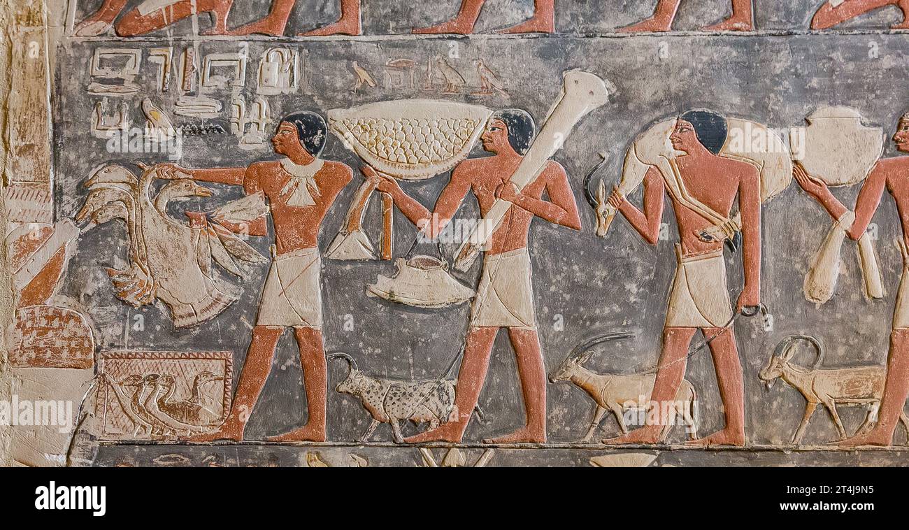 Égypte, Saqarah, tombeau de Mehu, offrant des soutiens. Banque D'Images