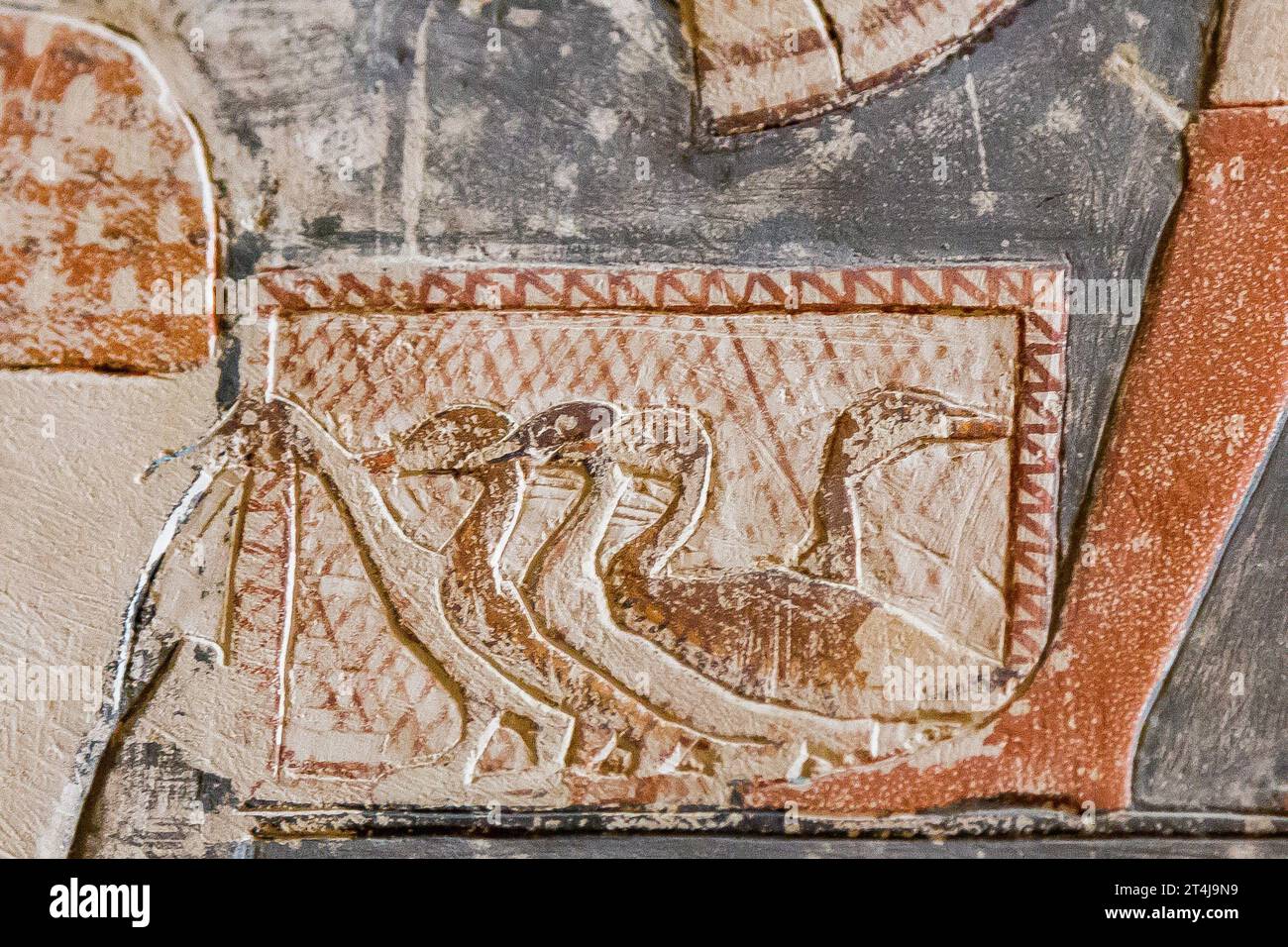 Egypte, Saqqara, tombeau de Mehu, détail de l'offre de cortège de soutiens : Canards dans une cage. Banque D'Images