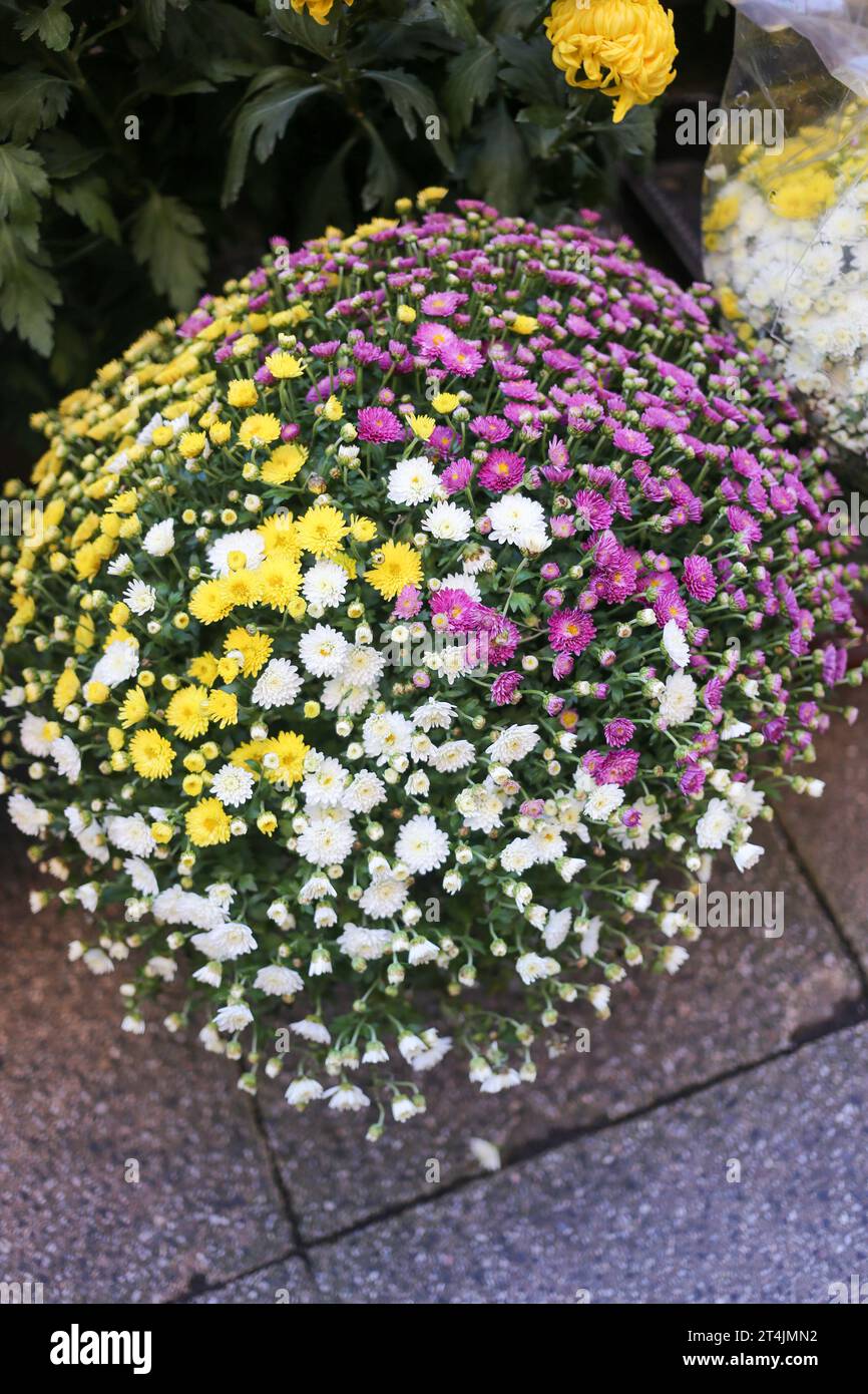 Oviedo, Espagne, le 31 octobre 2023 : un bouquet de fleurs pendant la fête de la Toussaint, le 31 octobre 2023, à Oviedo, en Espagne. Crédit : Alberto Brevers / Alamy Live News. Banque D'Images