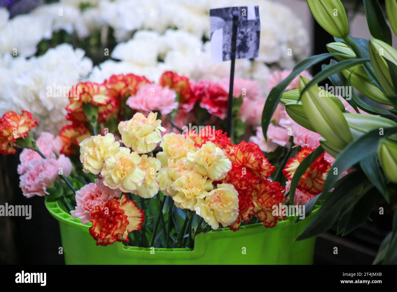 Oviedo, Espagne, le 31 octobre 2023 : un bouquet de fleurs pendant la fête de la Toussaint, le 31 octobre 2023, à Oviedo, en Espagne. Crédit : Alberto Brevers / Alamy Live News. Banque D'Images