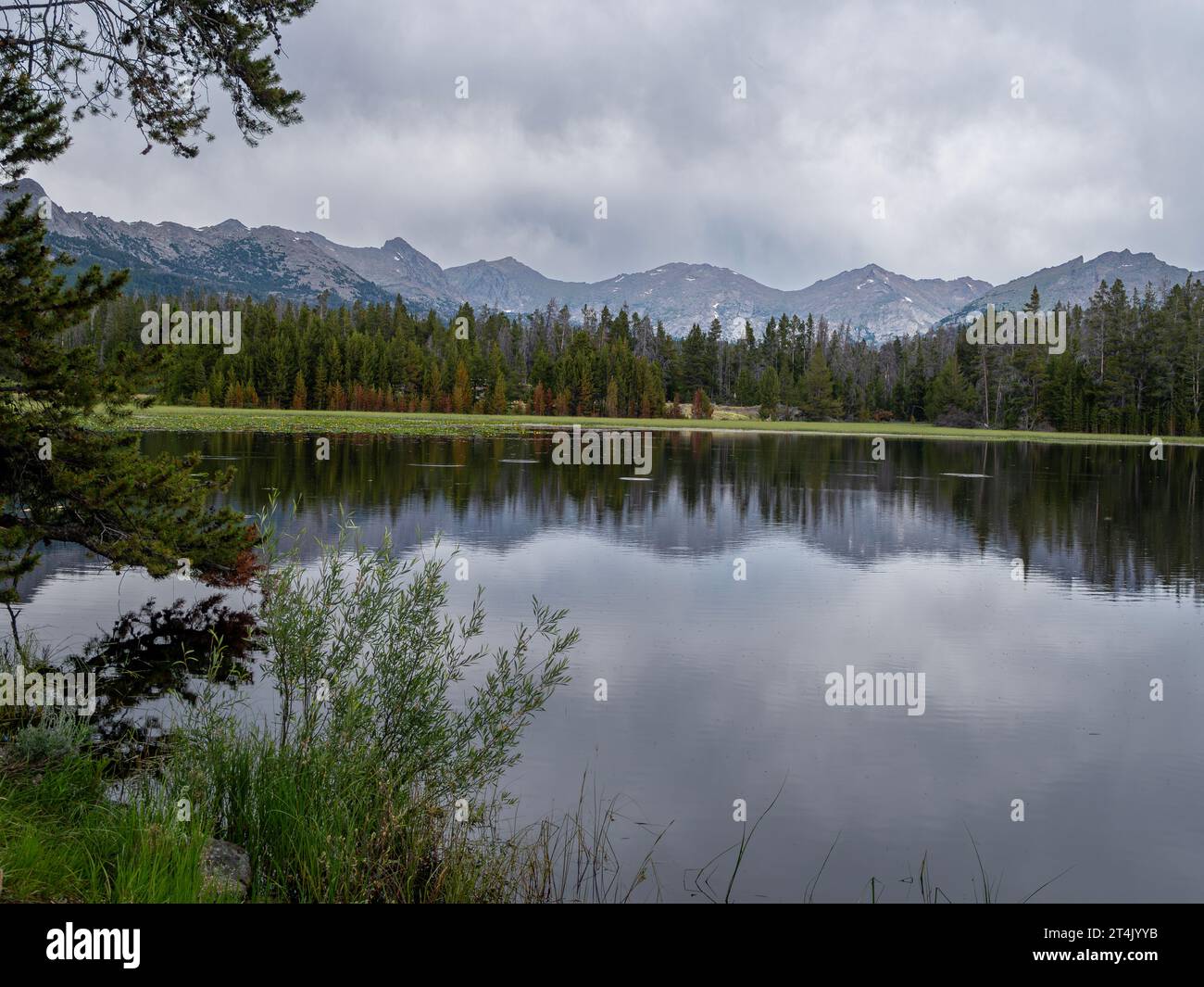 WY05500-00...WYOMING - Mud Lake situé à côté de Big Sandy Lodge dans la forêt nationale de Bridger. Banque D'Images