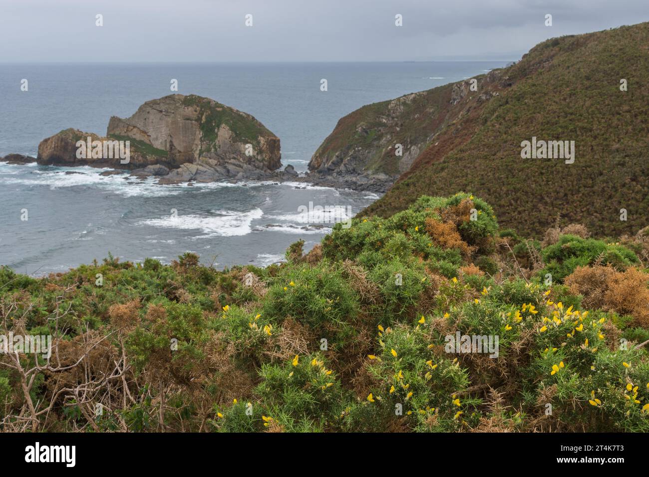 Turtle Rock Island vue sur la côte des Asturies Banque D'Images