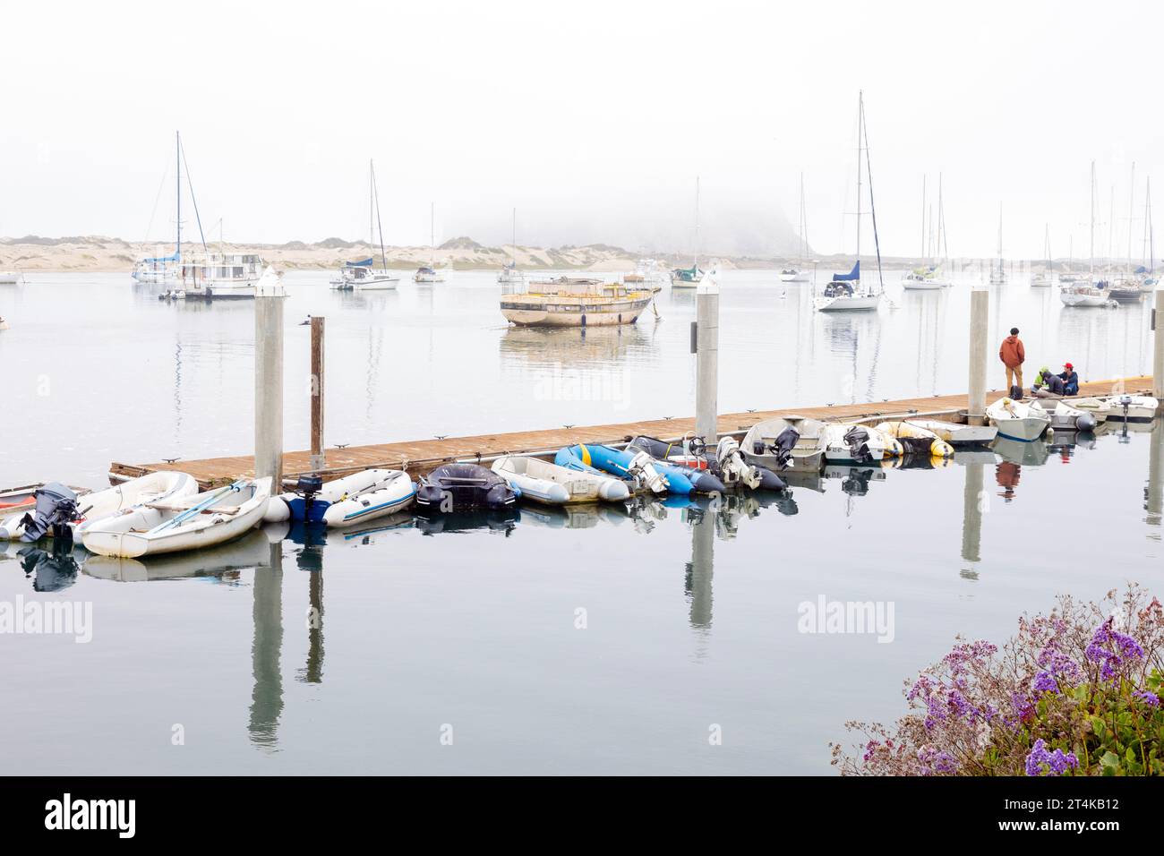 Longue file de canots amarrés Banque D'Images