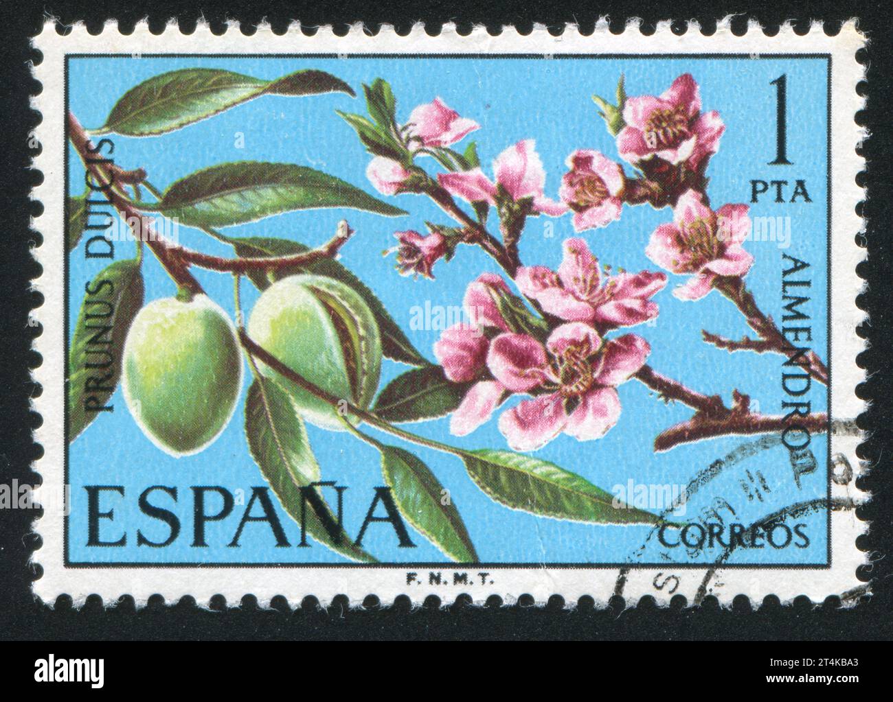 ESPAGNE - CIRCA 1985 : timbre imprimé par l'Espagne, montre l'amande, circa 1985 Banque D'Images