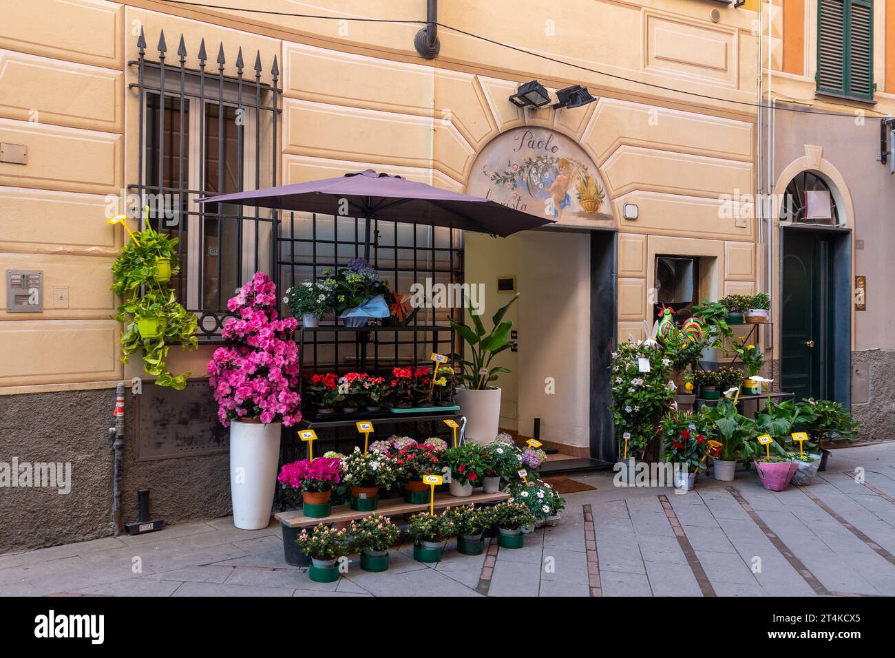 Extérieur d'un magasin de fleurs avec des plantes à fleurs exposées sur le trottoir dans la vieille ville de Loano, destination de vacances populaire, Loano, Savone, Italie Banque D'Images
