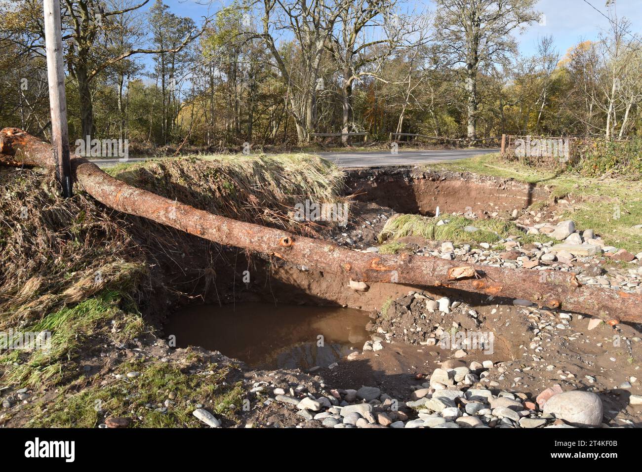Érosion routière, arbre tombé et débris : les conséquences de l'inondation de la tempête Babet de la rivière South Esk à Justinhaugh, Angus, Royaume-Uni en octobre 2023. Banque D'Images
