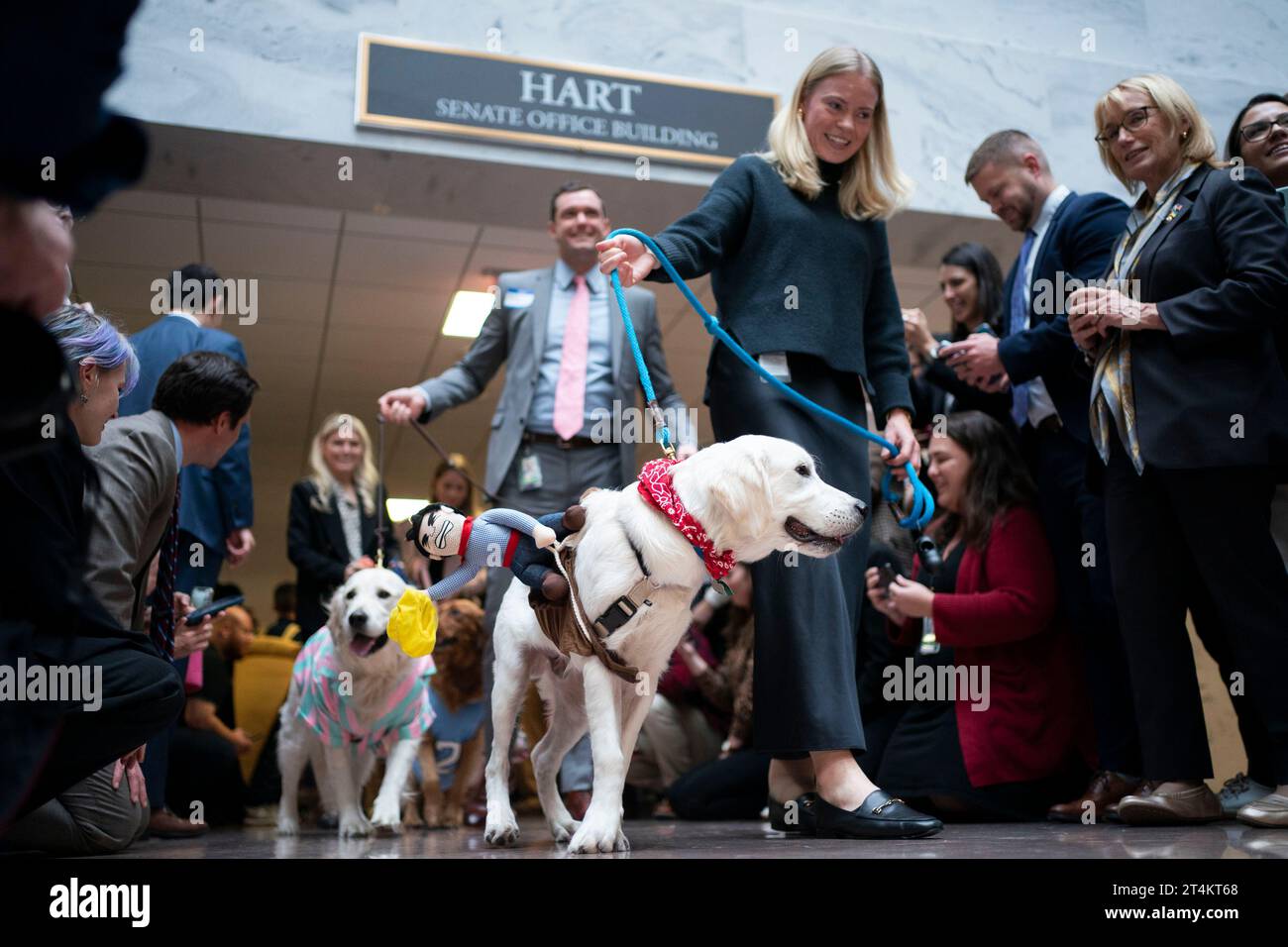 Washington, États-Unis. 31 octobre 2023. Les chiens en costumes défilent dans le bâtiment du Hart Senate Office pour la 'Bipawtisan Howl-o-ween Dog Parade' emceed par le sénateur Mitt Romney, R-UT, au Capitole des États-Unis à Washington, DC le mardi 31 octobre 2023. Le sénateur Thom Tillis, R-NC, qui a créé le défilé en 2017, n’a pas pu accueillir après avoir été testé positif au COVID-19. Photo Bonnie Cash/UPI crédit : UPI/Alamy Live News Banque D'Images