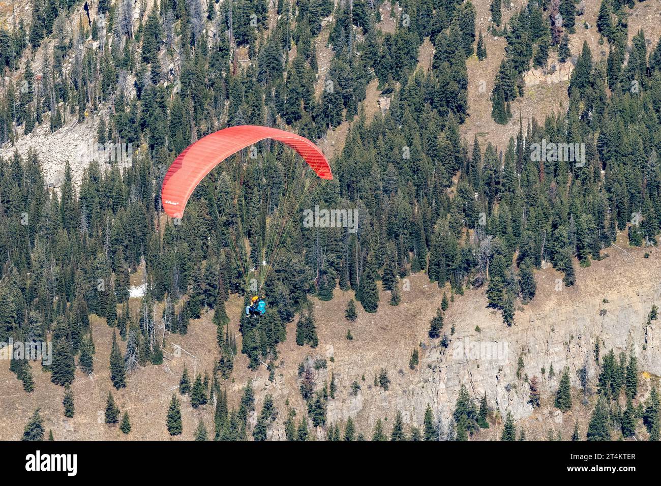 Parapente tandem survolant le parc national de Grand Teton depuis Rendezvous Peak à Jackson Hole, Wyoming Banque D'Images