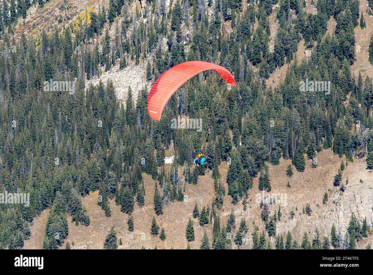 Parapente tandem survolant le parc national de Grand Teton depuis Rendezvous Peak à Jackson Hole, Wyoming Banque D'Images