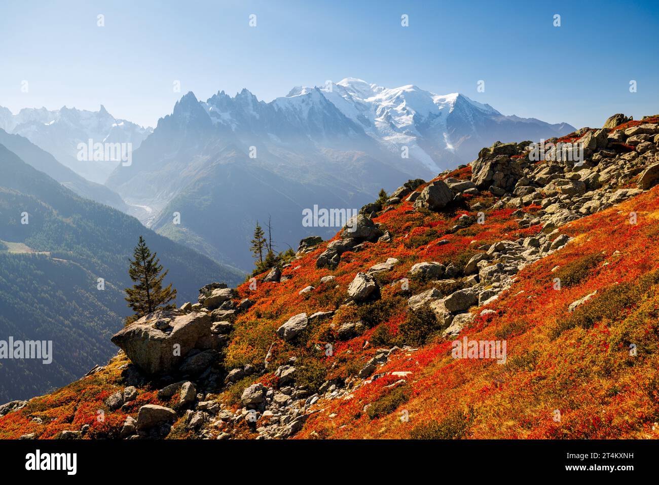 Couleurs d'automne à Chamonix avec aiguille du midi et Mont blanc en France Banque D'Images
