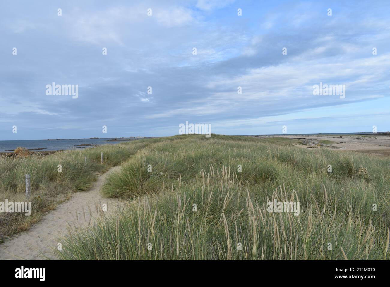 Talbert Furrow Peninsula à Pleubian FRANCE Banque D'Images