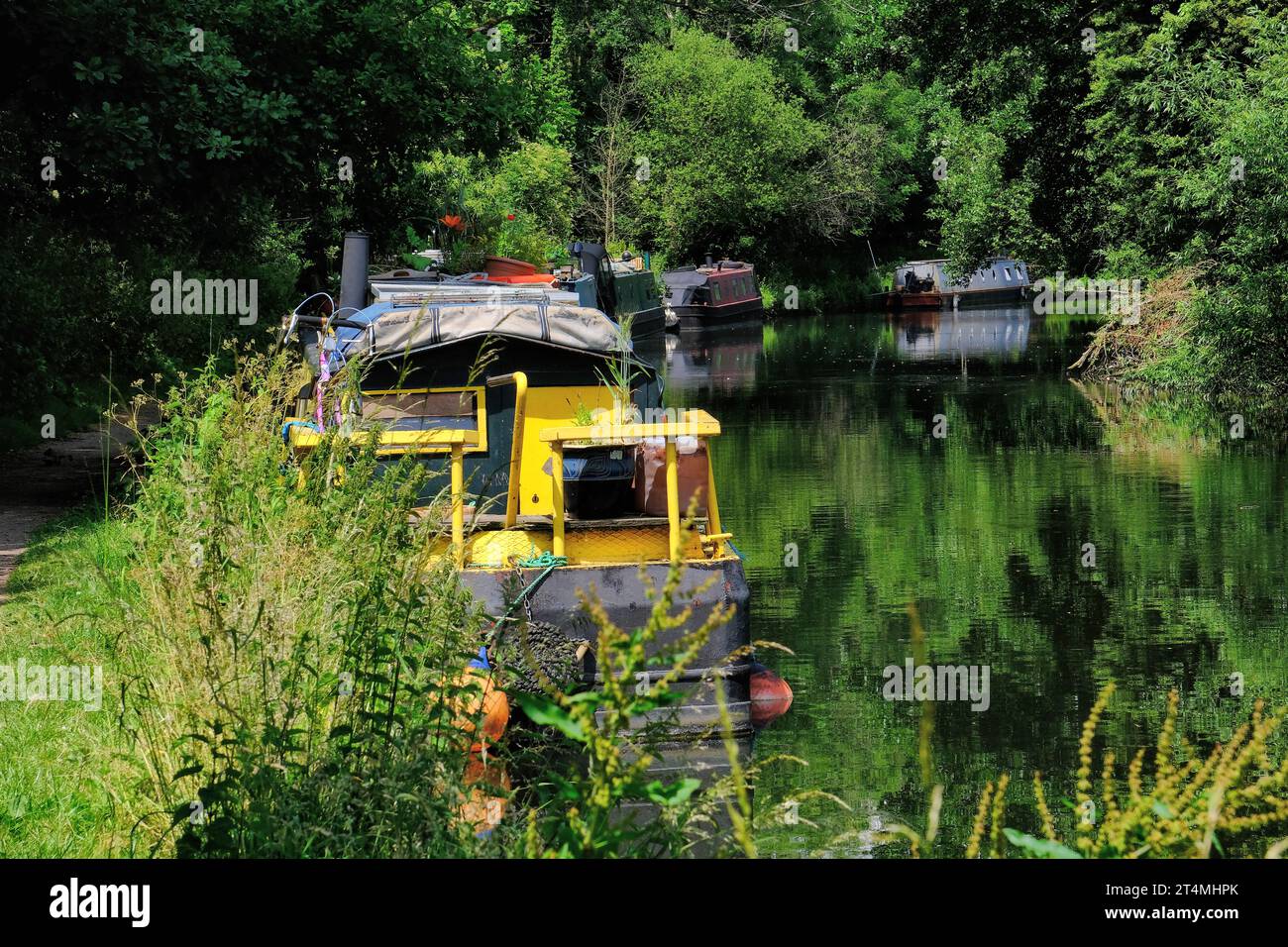 Piste de remorquage, bateaux de canal et réflexions sur Grand Union Canal (River Gade) près de Rickmansworth, Colne Valley, Hertfordshire, Angleterre, Royaume-Uni Banque D'Images