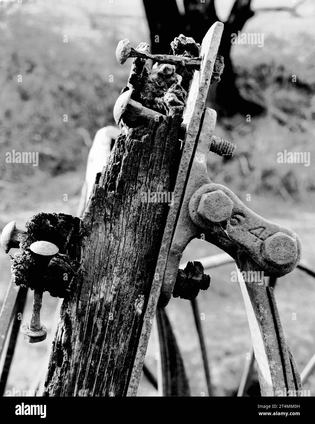 Photographie en noir et blanc de format moyen de 1980 de parties d'un wagon en bois ou d'un dray avec du bois altéré pourri et des boulons de fer dans un enclos près de Sofala dans le centre-ouest de la Nouvelle-Galles du Sud, en Australie Banque D'Images