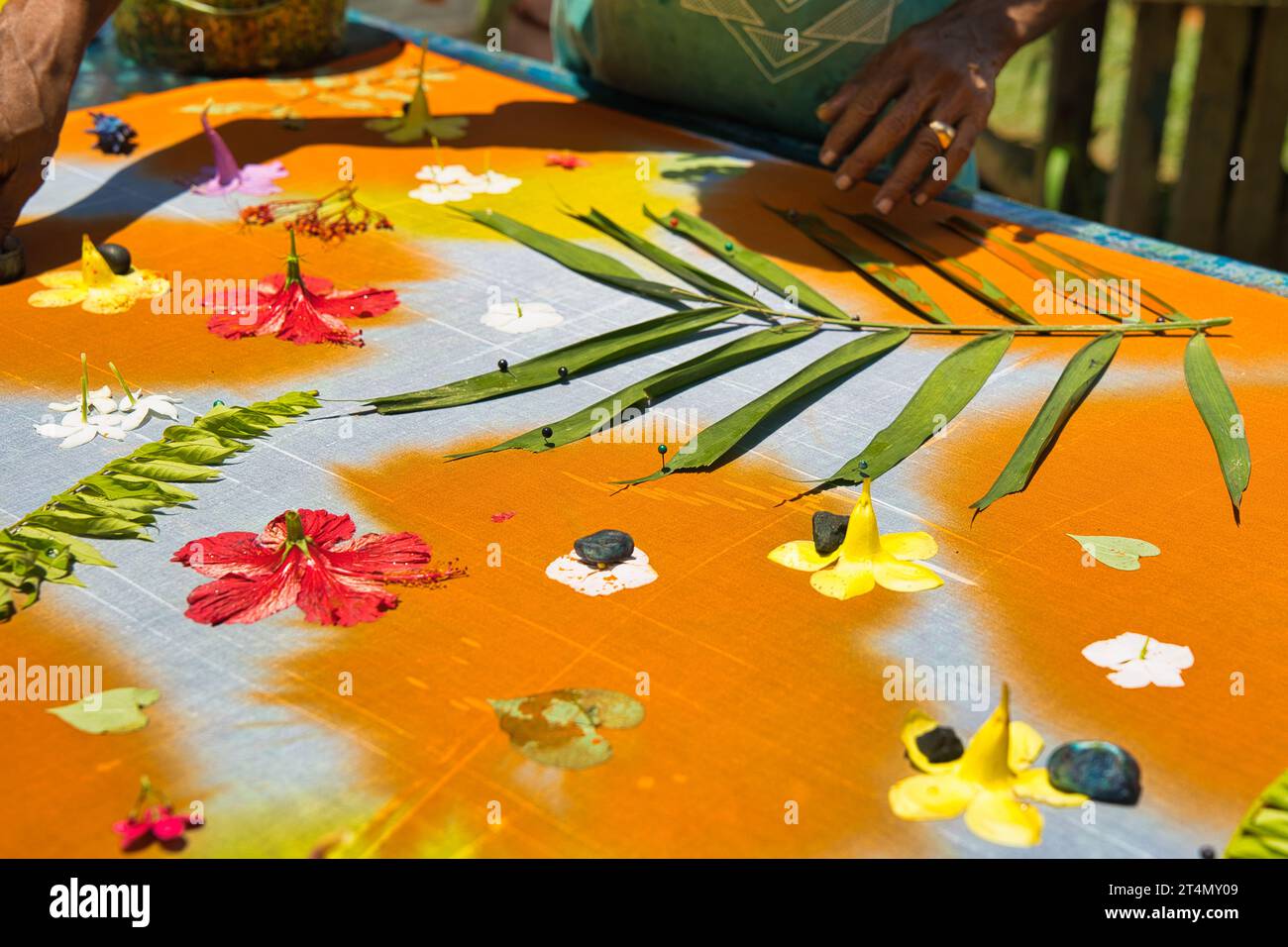 Gros plan des impressions faites à la main de Pareo, Mahé Seychelles Banque D'Images