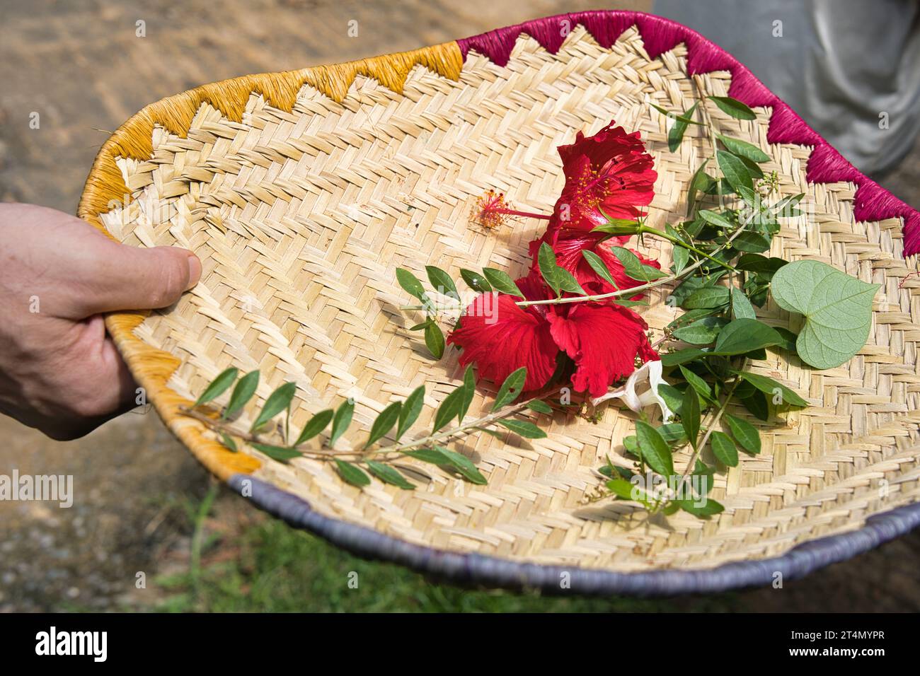 Fleurs dans le panier pour l'atelier de paréo sec au soleil, Mahé, Seychelles Banque D'Images