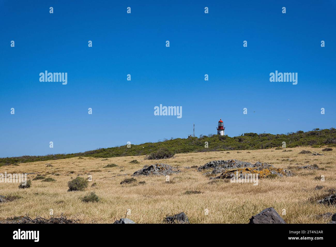 29.10.2023, xovx, Politik, Reise. Robben Island - Gefängnisinsel vor Kapstadt Leuchtturm der Gefängnisinsel Robben Island. Robben Island ist eine Insel zwölf kilomètre vor der südafrikanischen Stadt Kapstadt. In dem einstigen Gefängnis auf der Insel wurden dort politische Gefangene während der Apartheit inhaftiert. Darunter u.a. Walter Sisulu, Ahmed Kathrada, Robert Sobukwe, sowie der spätere Staatspräsident Nelson Mandela der dort als politischer Häftling fast zwei Jahrzehnte in einer vier Quadratmeter großen Einzelzelle verbrachte. Kapsatdt Robben Island Westkap Südafrika ZAF *** 29 10 2023, Banque D'Images