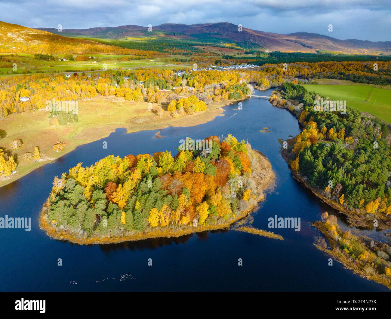 Vue aérienne de la petite île de Tom Dubh sur le Loch Insh regardant spectaculaire dans les couleurs d'automne à Kincraig, Écosse, Royaume-Uni Banque D'Images