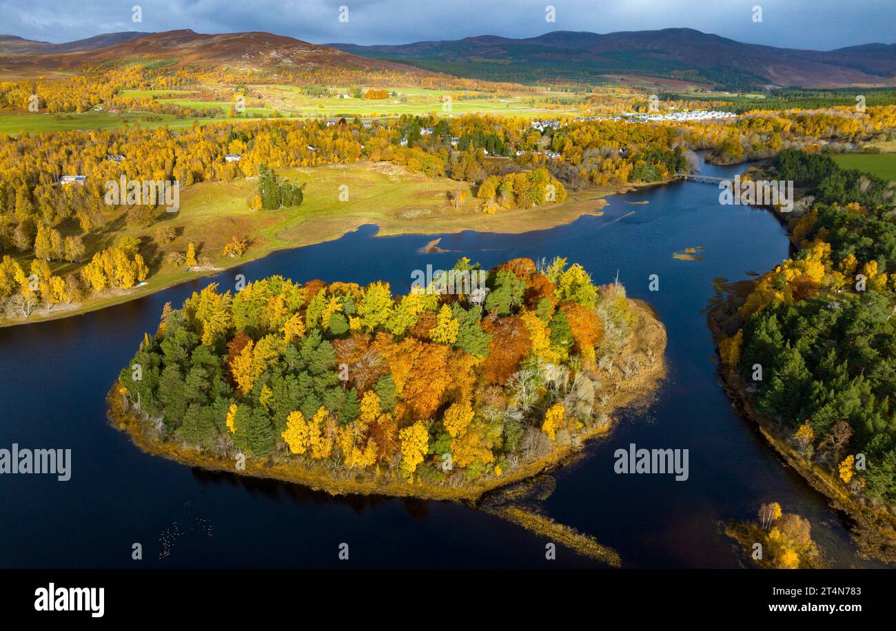 Vue aérienne de la petite île de Tom Dubh sur le Loch Insh regardant spectaculaire dans les couleurs d'automne à Kincraig, Écosse, Royaume-Uni Banque D'Images