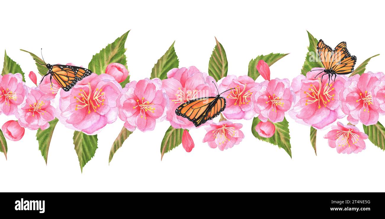 Illustration à l'aquarelle dessinée à la main. Guirlande florale sans couture avec des fleurs de sakura, des bourgeons et des feuilles et des papillons Banque D'Images
