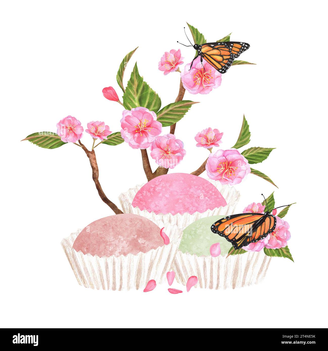 Illustration à l'aquarelle dessinée à la main. Dessert mochi sucré de couleurs rose et verte avec des branches de sakura et des papillons Banque D'Images