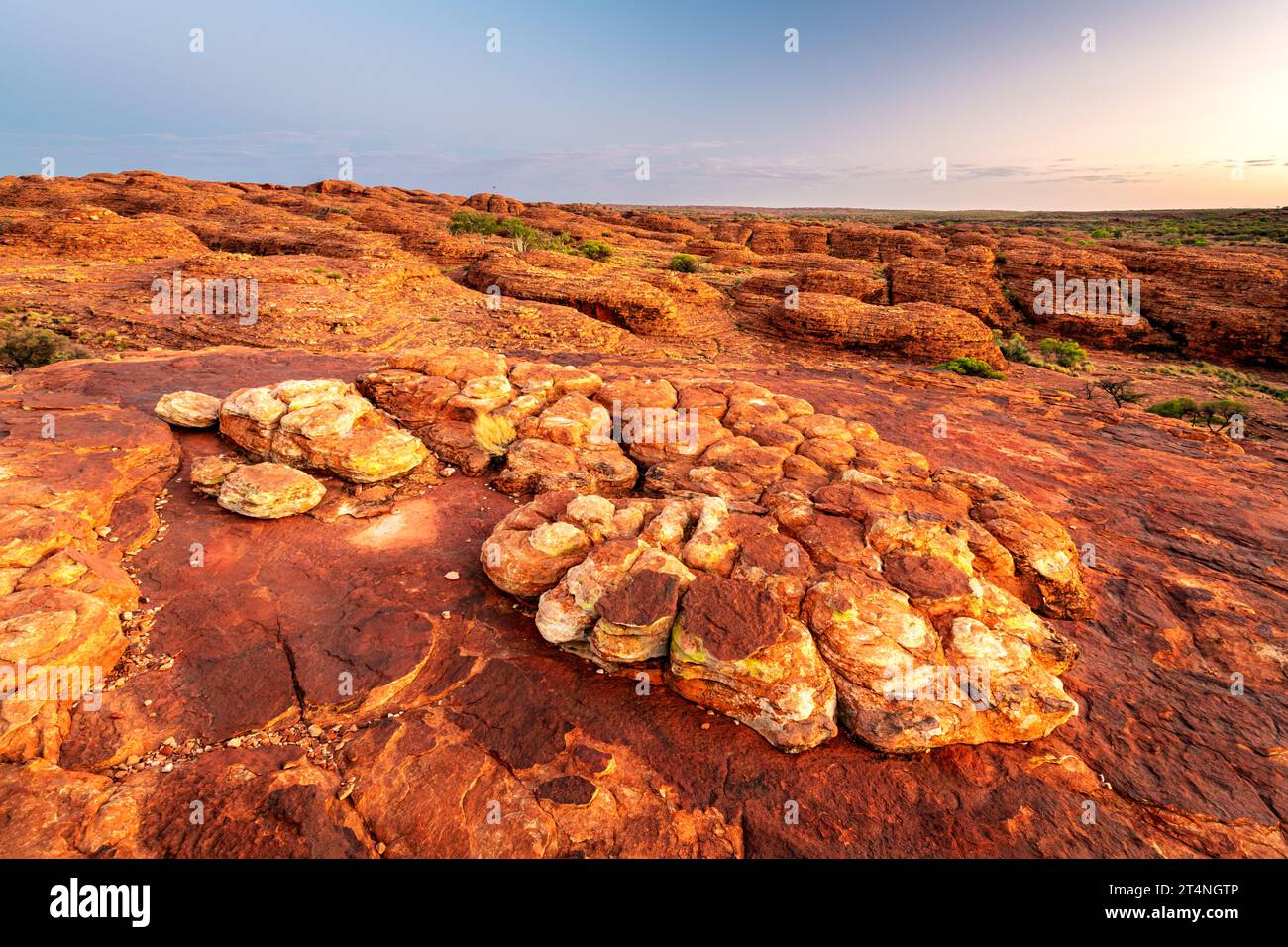 Vues spectaculaires sur le Rim Walk dans le parc national de Watarrka. Banque D'Images