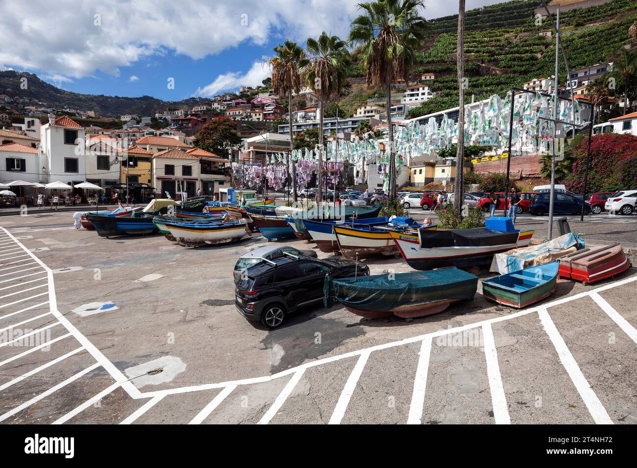 Port avec des bateaux de pêche colorés, Camara de Lobos, île de Madère, Portugal, Europe Banque D'Images