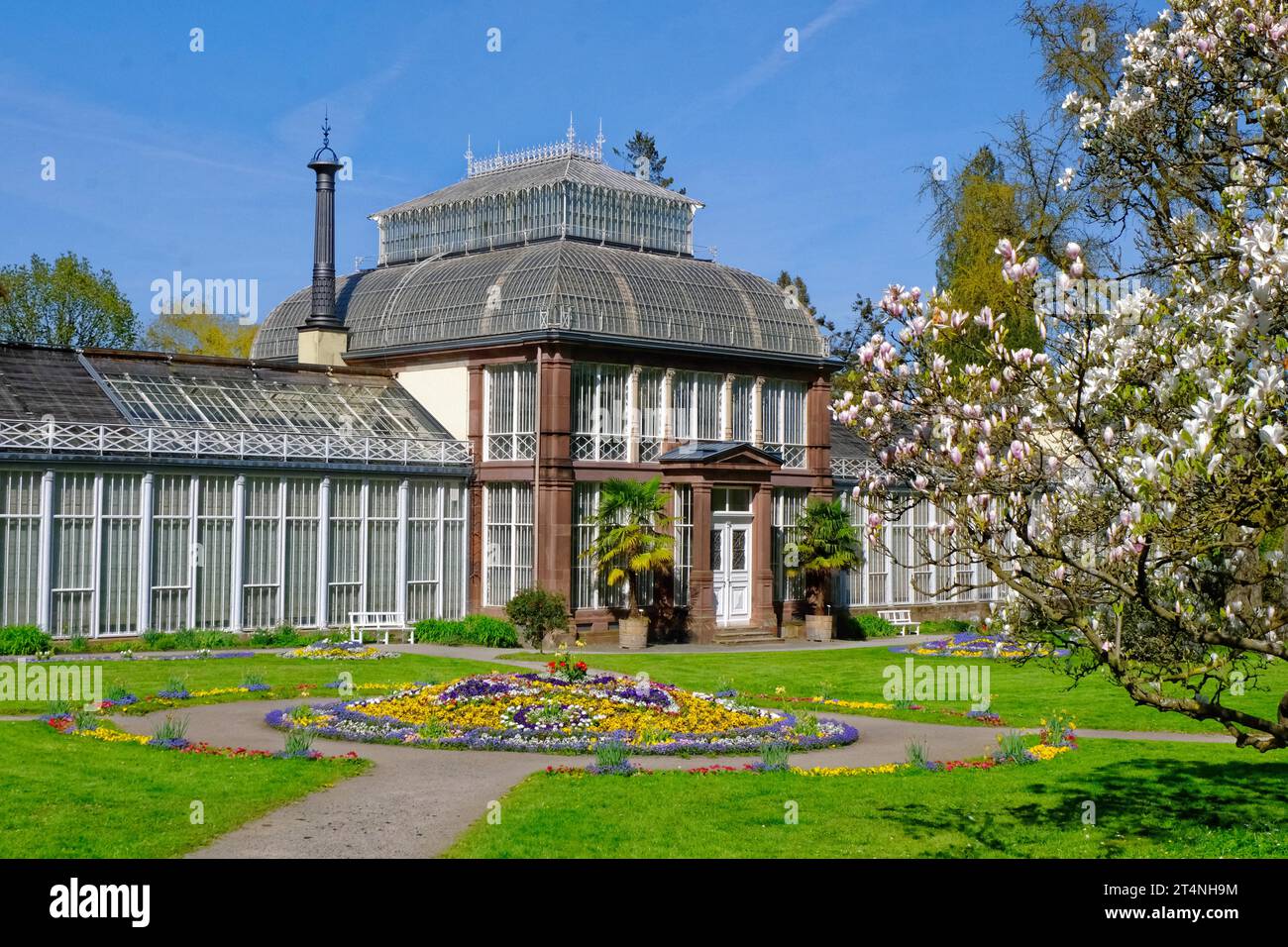 Gewaechshaus, Blumen, Bergpark Wilhelmshoehe, Kassel, Hessen Banque D'Images