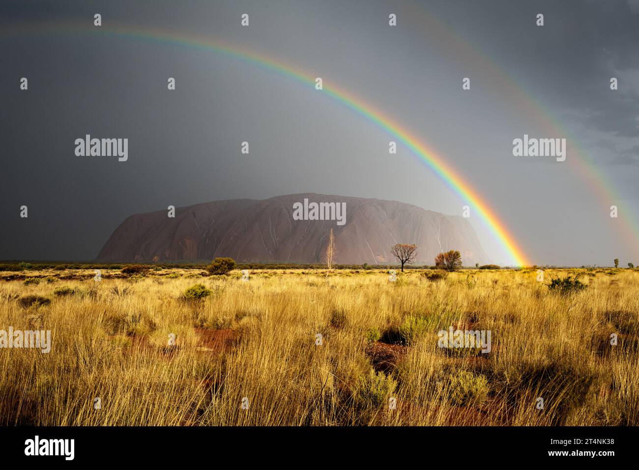 Un spectacle si rare de voir le célèbre Uluru sous la pluie et sous un double arc-en-ciel. Banque D'Images