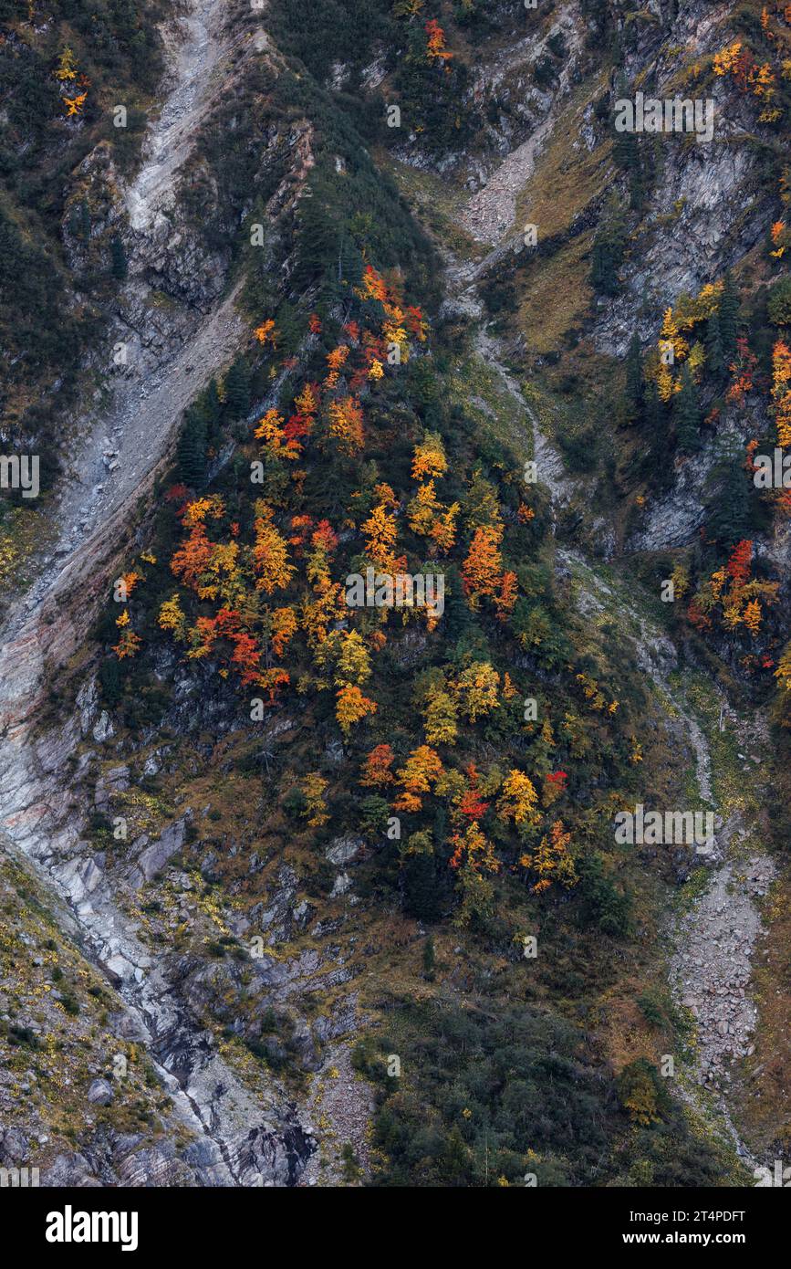 Forêt d'automne sur les pentes vers la jonction à Chamonix Banque D'Images