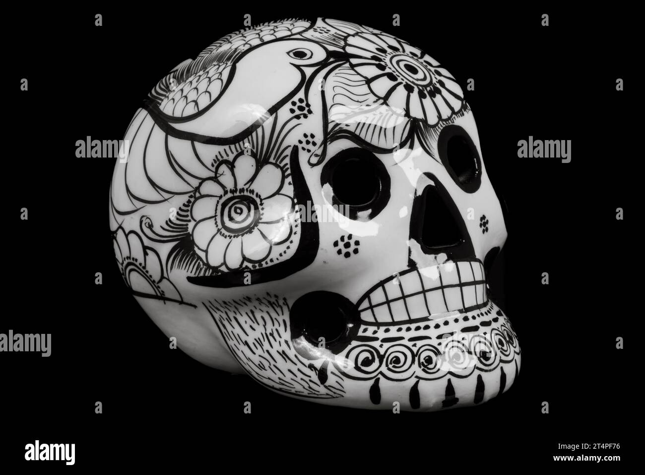 calaveras avec des fleurs Banque D'Images