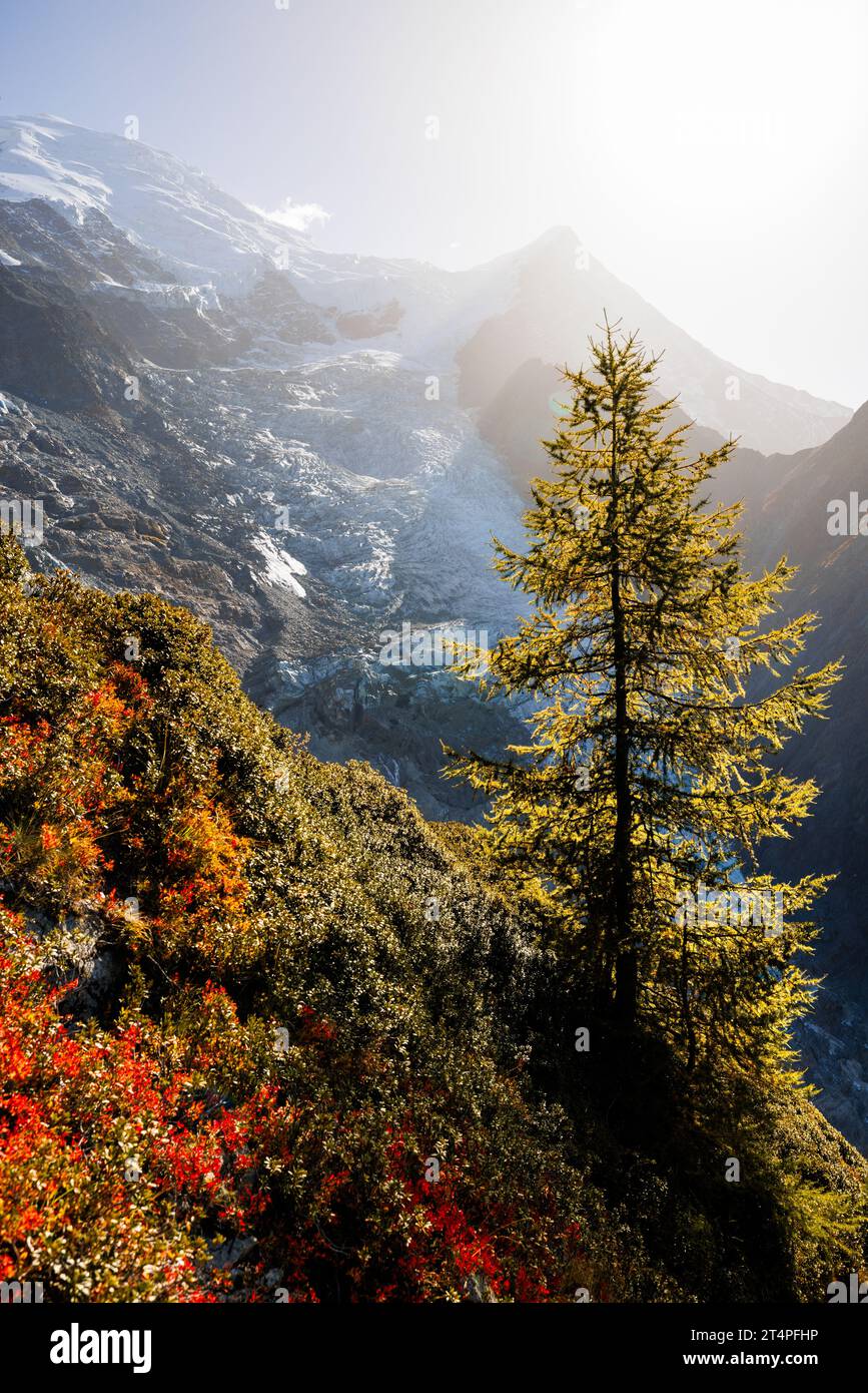 Glacier de Taconnaz en automne à Chamonix en direction de la jonction Banque D'Images
