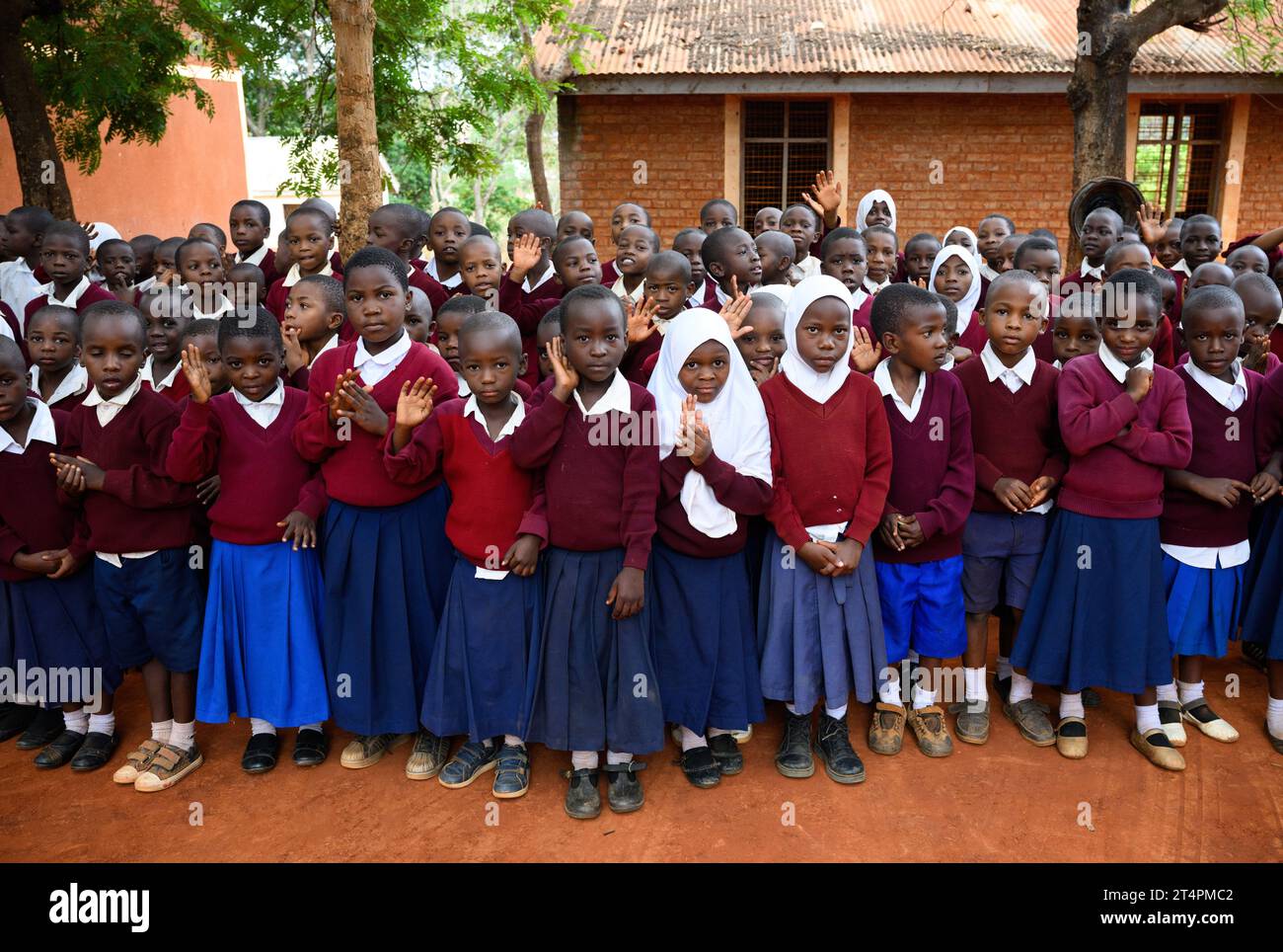 Songea, Tanzanie. 01 novembre 2023. Les élèves de l'école primaire Maji-Maji à Songea se tiennent dans la cour d'école lors de la visite du président Steinmeier. Steinmeier a terminé son voyage en Tanzanie mercredi avec sa visite à Songea. Crédit : Bernd von Jutrczenka/dpa/Alamy Live News Banque D'Images