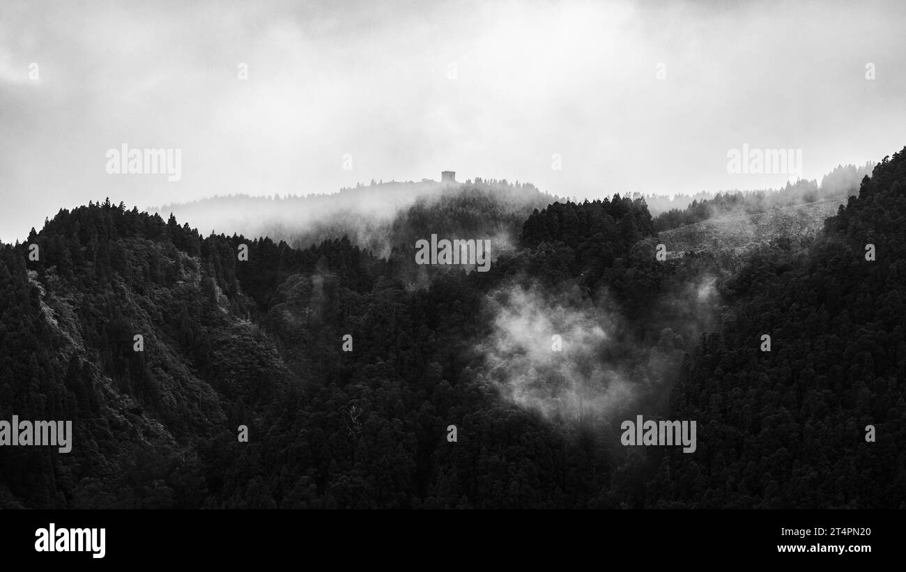 Paysage mystérieux avec brouillard et arbres sur le bord du cratère, Furnas, îles des Açores. Banque D'Images