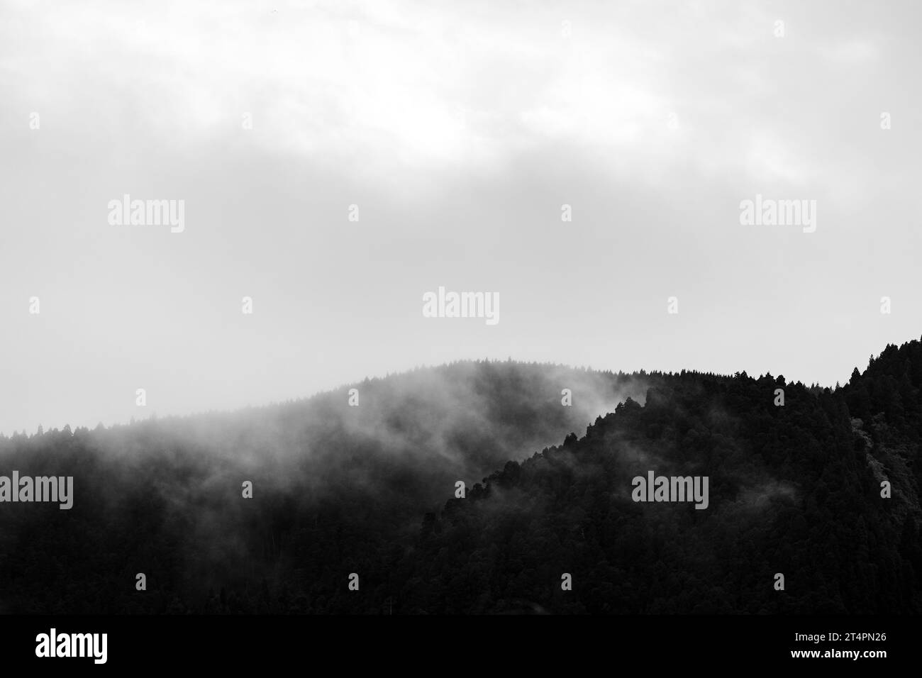 Paysage mystérieux avec brouillard et arbres sur le bord du cratère, Furnas, îles des Açores. Banque D'Images