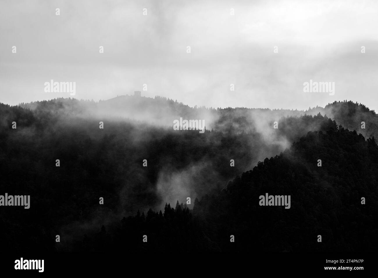 Paysage mystérieux avec brouillard et arbres sur le bord du cratère, Furnas, îles des Açores. Banque D'Images