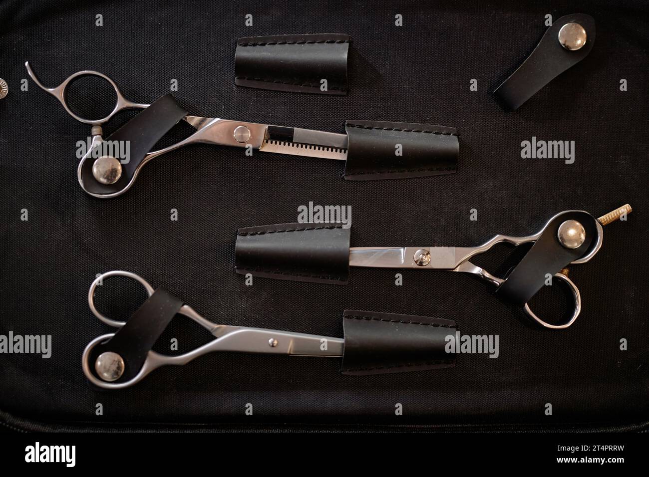 Vue de dessus de ciseaux professionnels spéciaux pour la coupe de cheveux dans le salon de coiffure Banque D'Images