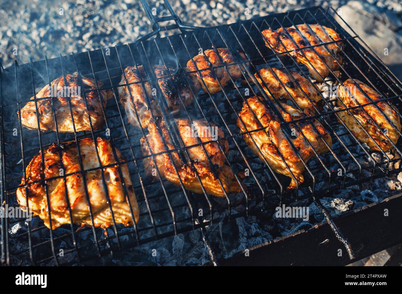 Gros plan de filets de poulet juteux sur un grill chaud, parfaitement cuits à la perfection. Banque D'Images