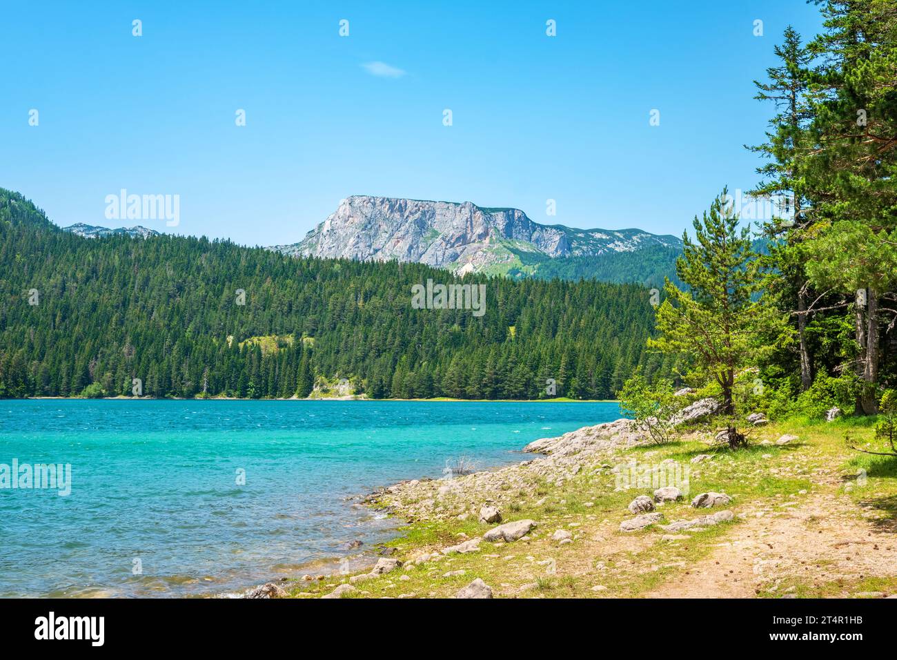 Côte du lac Noir (Crno Jezero) dans le parc national de Durmitor. Zabljak, Monténégro Banque D'Images